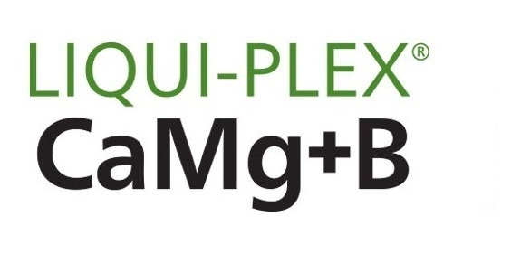 Liqui Plex CaMg+B